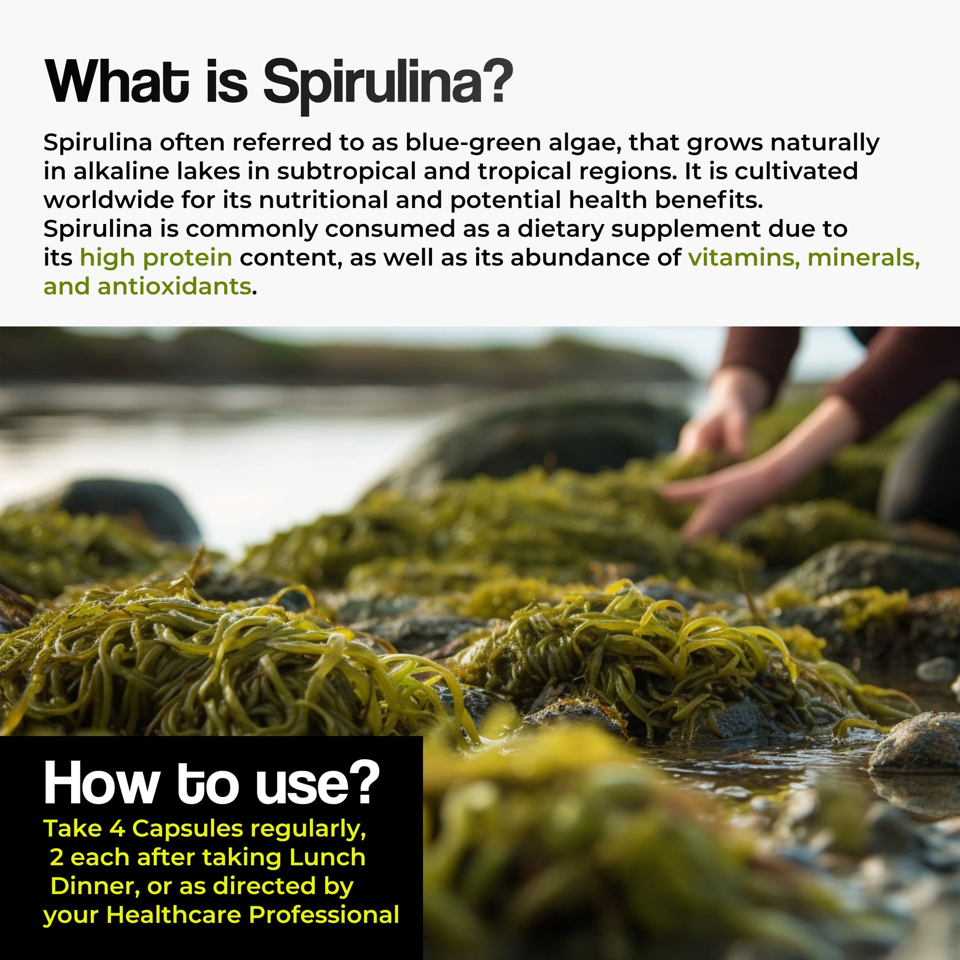 Health Veda Organics Spirulina Capsules - Swadesiicart
