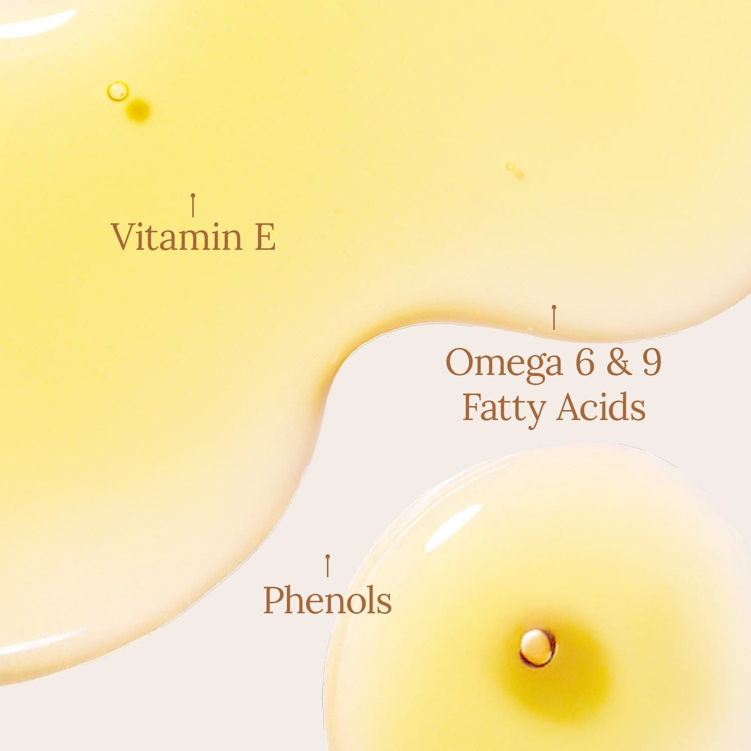Organic Argan Oil