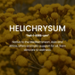 Muscle Relief Oil