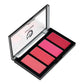 Matt Look Beauty Blush Palette - 02 - Swadesiicart