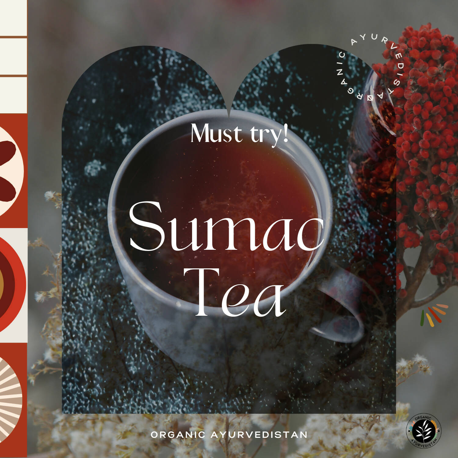 Organic Ayurvedistan Sumac Powder - Swadesiicart