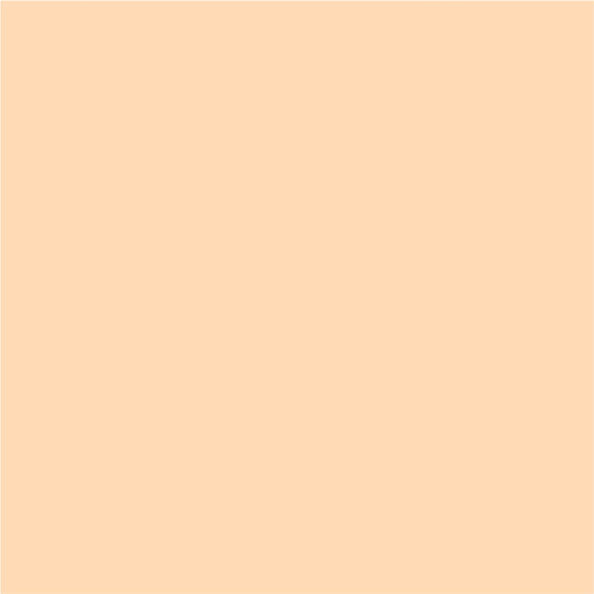 Matt Look Bare Canvas Hydra Foundation - Peach Glow - Swadesiicart
