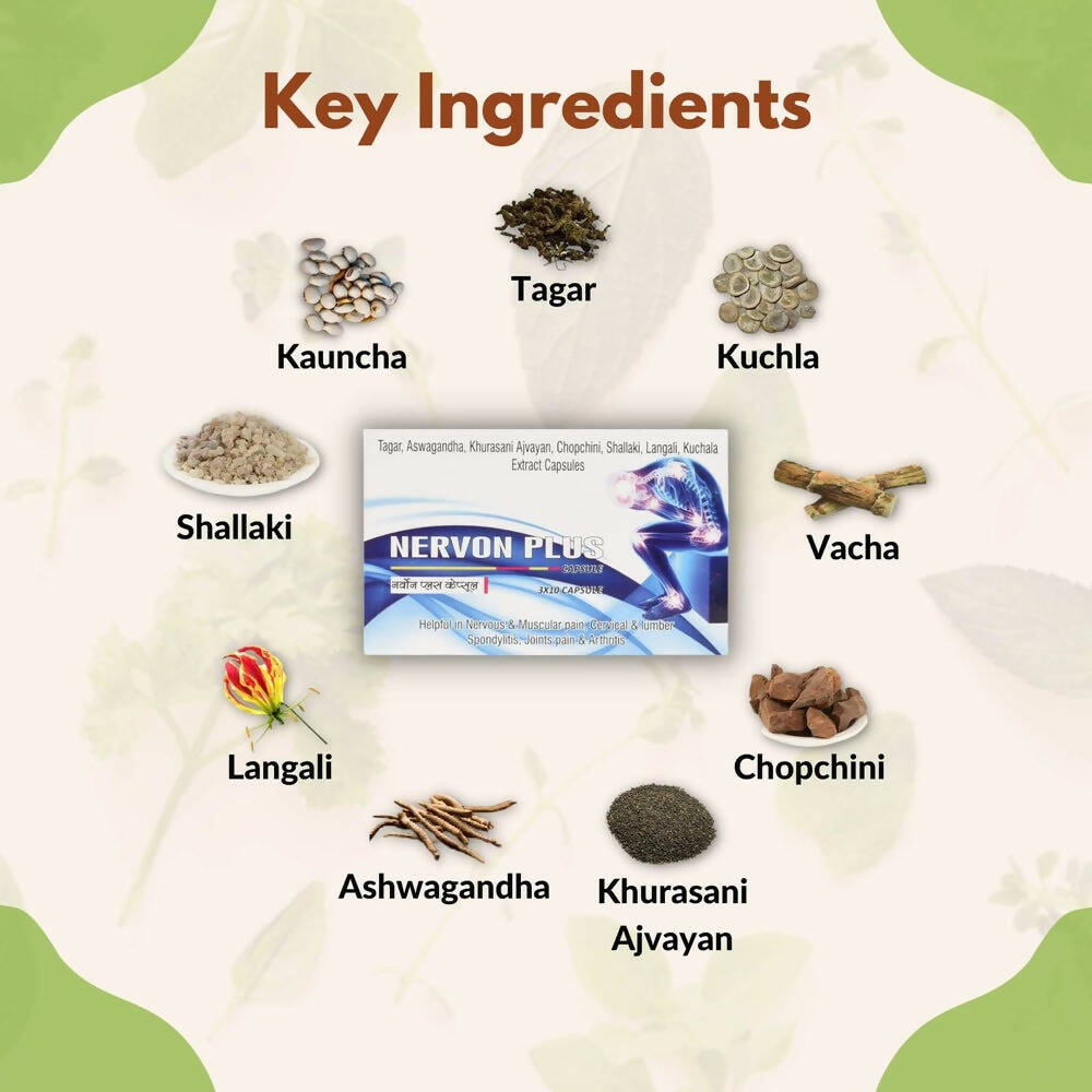 SN Herbals Nervon Plus Capsules - Swadesiicart