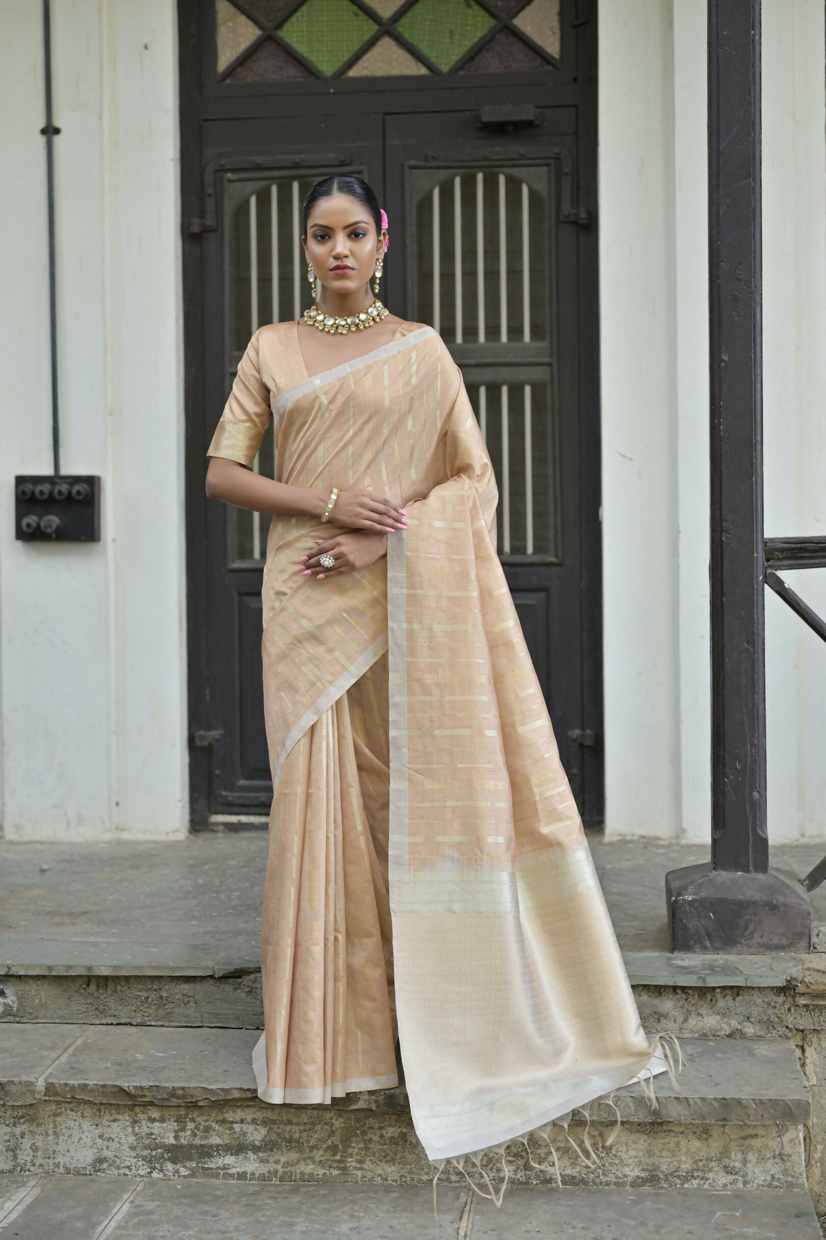 Vishnu Weaves Women's Chiku Premium Tussar Silk Saree with Blouse - Swadesiicart