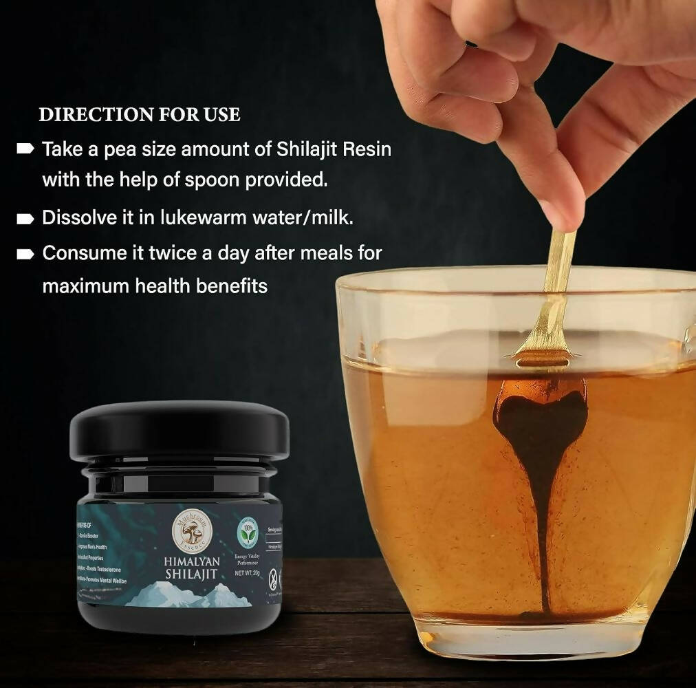 Mushroom Essence Pure Himalayan Sj Resin | Swadesiicart