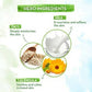 Mamaearth Milky Soft Head to Toe Wash With Oats, Milk & Calendula For Babies
