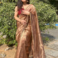 Lorenvalley Fashion Chiku Zimmy Choo Silk Fancy Lace Saree With Blouse - Swadesiicart