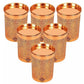 Copper Glass Tumbler with Lid Embossed Design - Swadesiicart