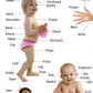 All In One Picture Book (For Ages 1-4)