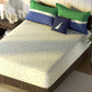 Nautica Noridge Green & Blue Floral Cotton 160 TC King Bedsheet With 2 Pillow Covers - Swadesiicart