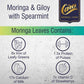 Care Moringa & Giloy Green Tea Bags with Spearmint