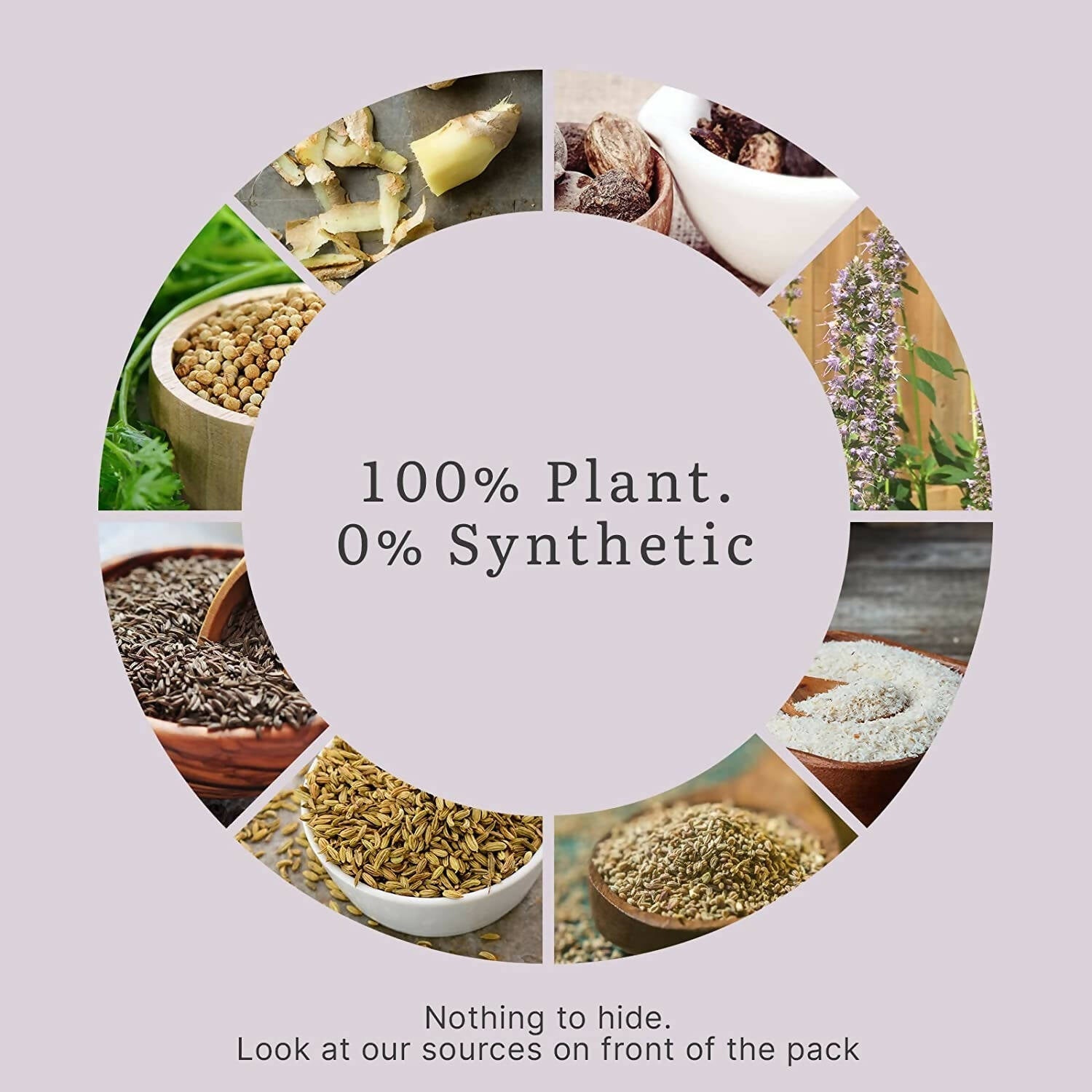 Earthful Gut Health Supplement - 100% Plant Based | Swadesiicart