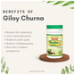 Jaived Ayurveda Giloy Churna | Swadesiicart