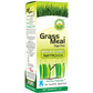 Basic Ayurveda Grass Meal Wheat Grass Juice with Honey