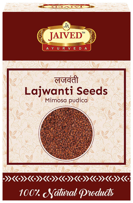 Jaived Ayurveda Sensitive Plant Lajwanti Seeds | Swadesiicart