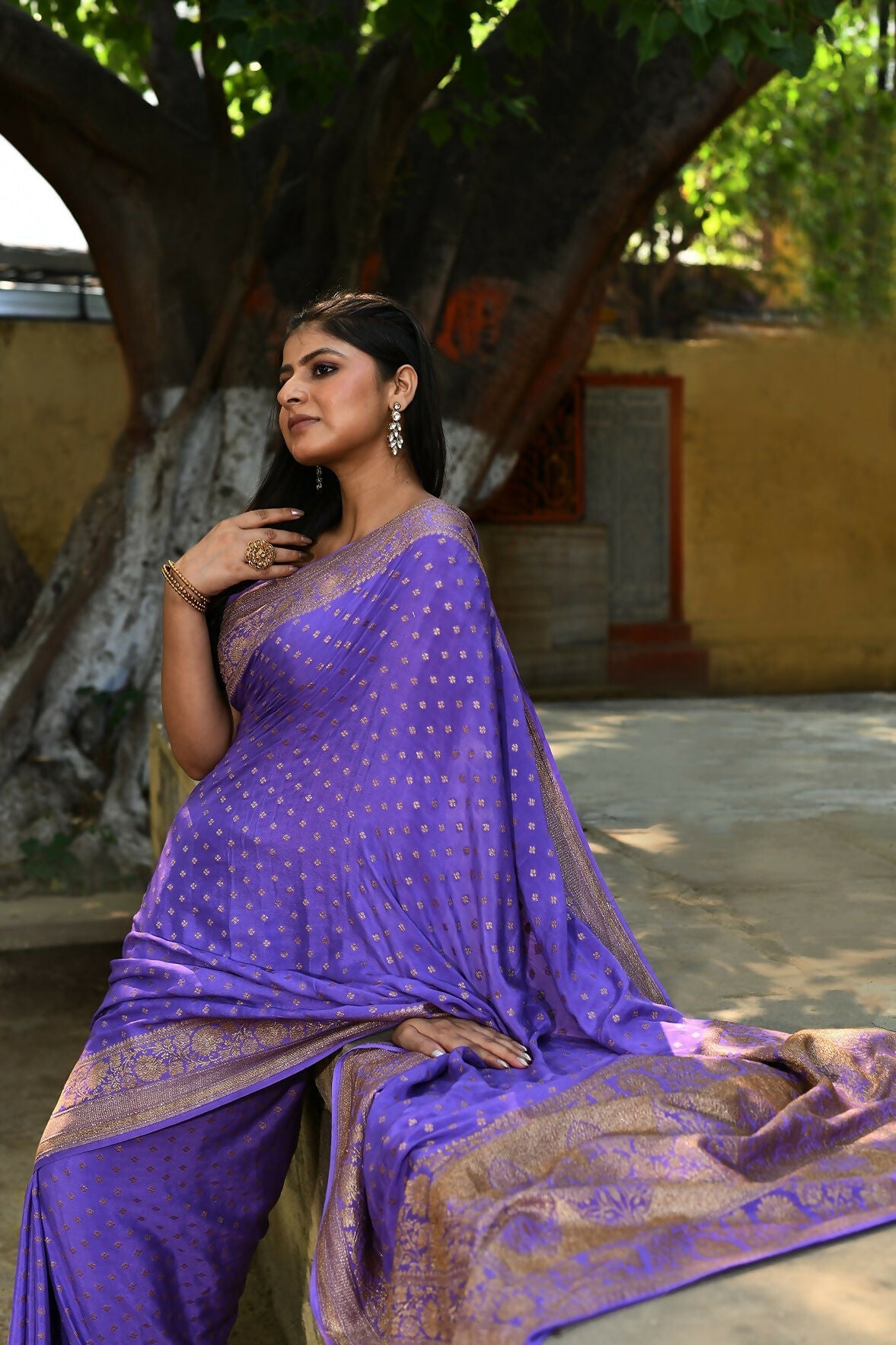 Joban Fashion Lavender Crepe Chiffon Pure Handloom Banarasi Silk Saree | Swadesiicart
