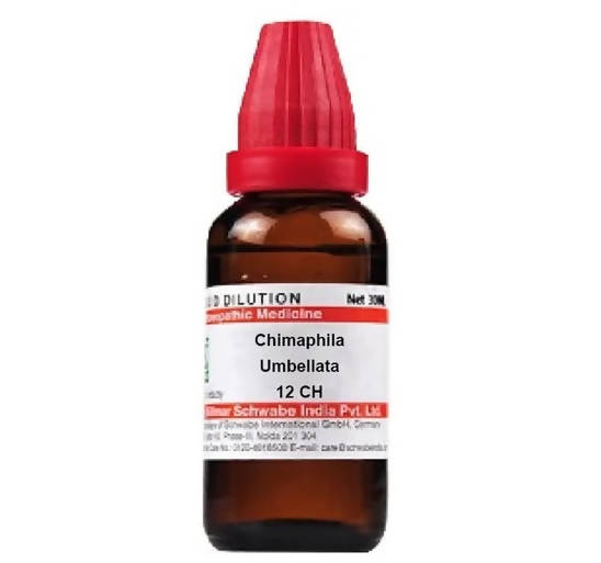 Dr. Willmar Schwabe India Chimaphila Umbellata Dilution | Swadesiicart