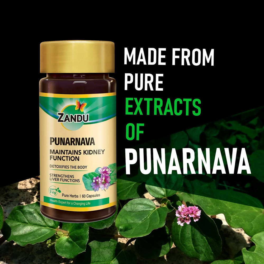Zandu Punarnava Capsules | Swadesiicart