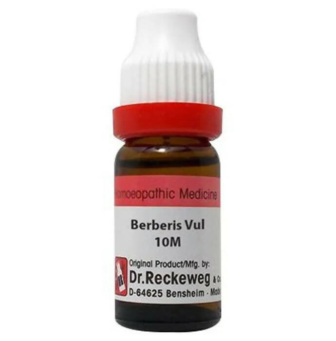 Dr. Reckeweg Berberis Vul Dilution - Swadesiicart