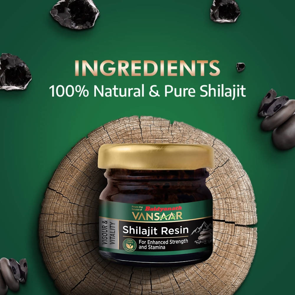 Baidyanath Vansaar Sj Resin | Swadesiicart