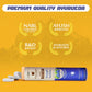 Upakarma Ayurveda Pure Sj Effervescent Tablets - Blueberry | Swadesiicart