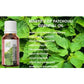 Ae Naturals Patchouli Essential Oil