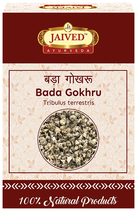 Jaived Ayurveda Bada Gokhru | Swadesiicart