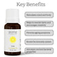 Aroma Treasures Lime Pure Essential Oil