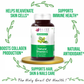 Bliss Welness Immune Health Natural Vitamin C Amla Extract Veg Tablet