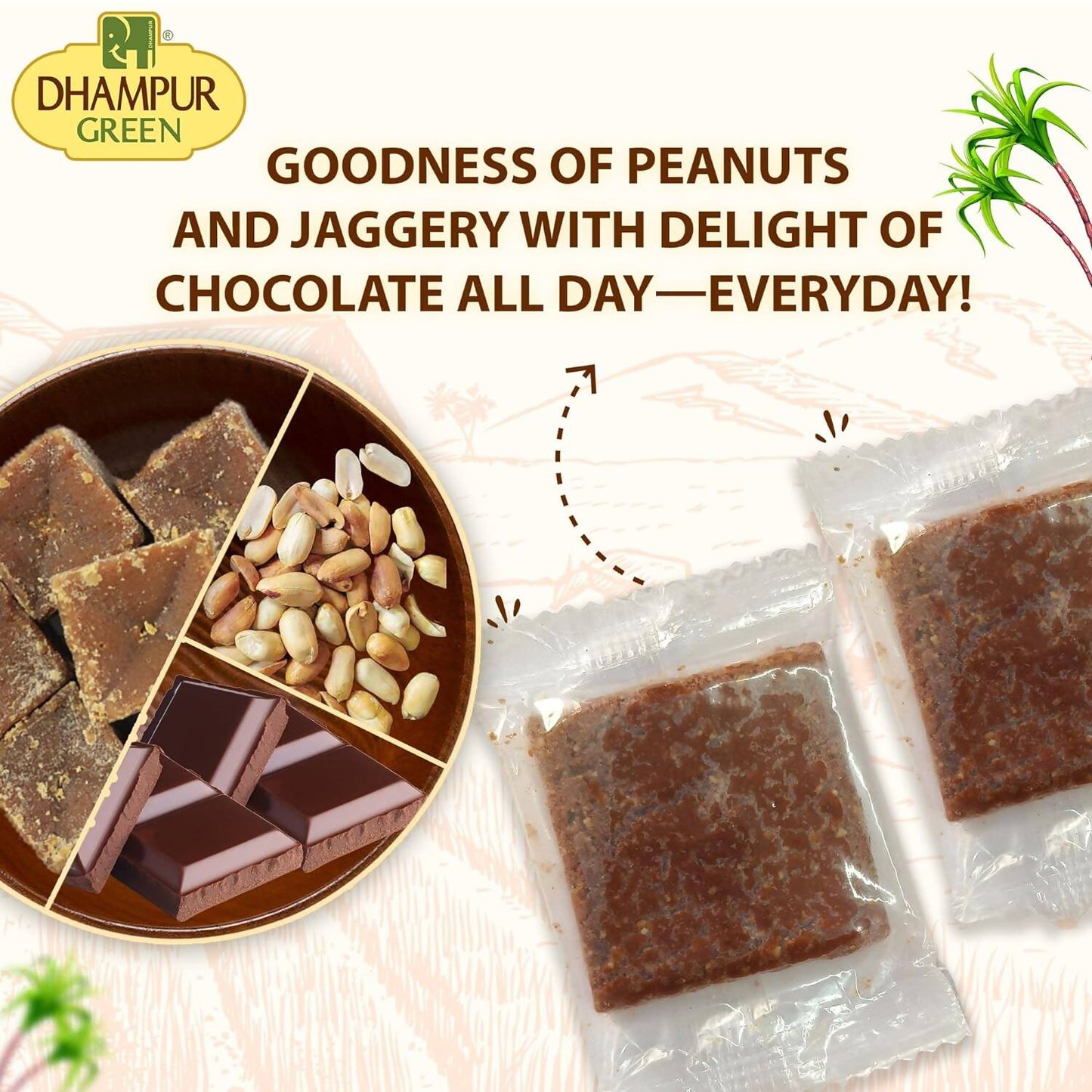 Dhampur Green Chocolate Peanut Chikki | Swadesiicart