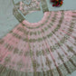 Jyoti Fashion Women's Baby Pink Butterfly Net 9MM Sequins with Thread Embroidered Designer Lehenga Choli Set | Swadesiicart