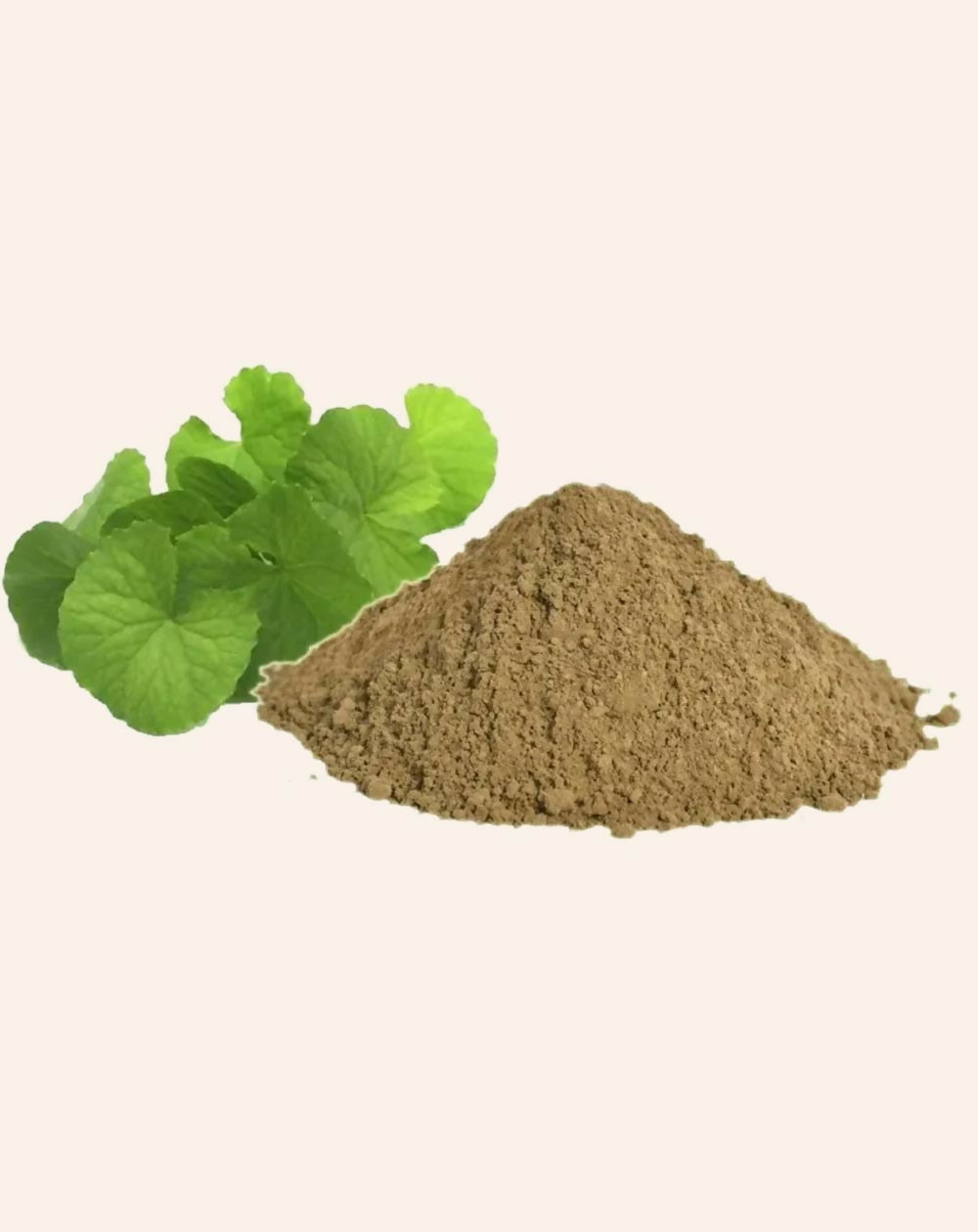 Simandhar Brahmi Powder | Swadesiicart