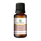 Korus Essential Garlic Essential Oil - Therapeutic Grade - Just Jaivik