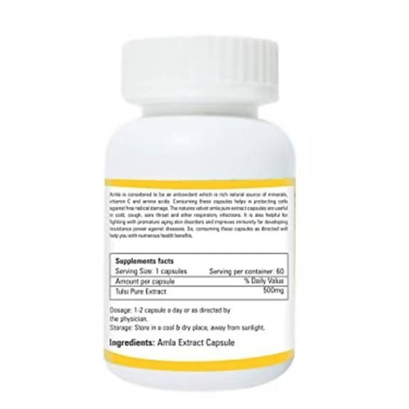 Zindagi Amla Extract Capsules - Swadesiicart