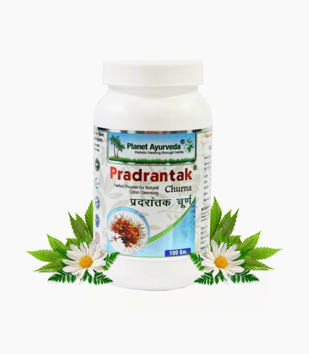 Planet Ayurveda Pradrantak Churna - Planet Ayurveda