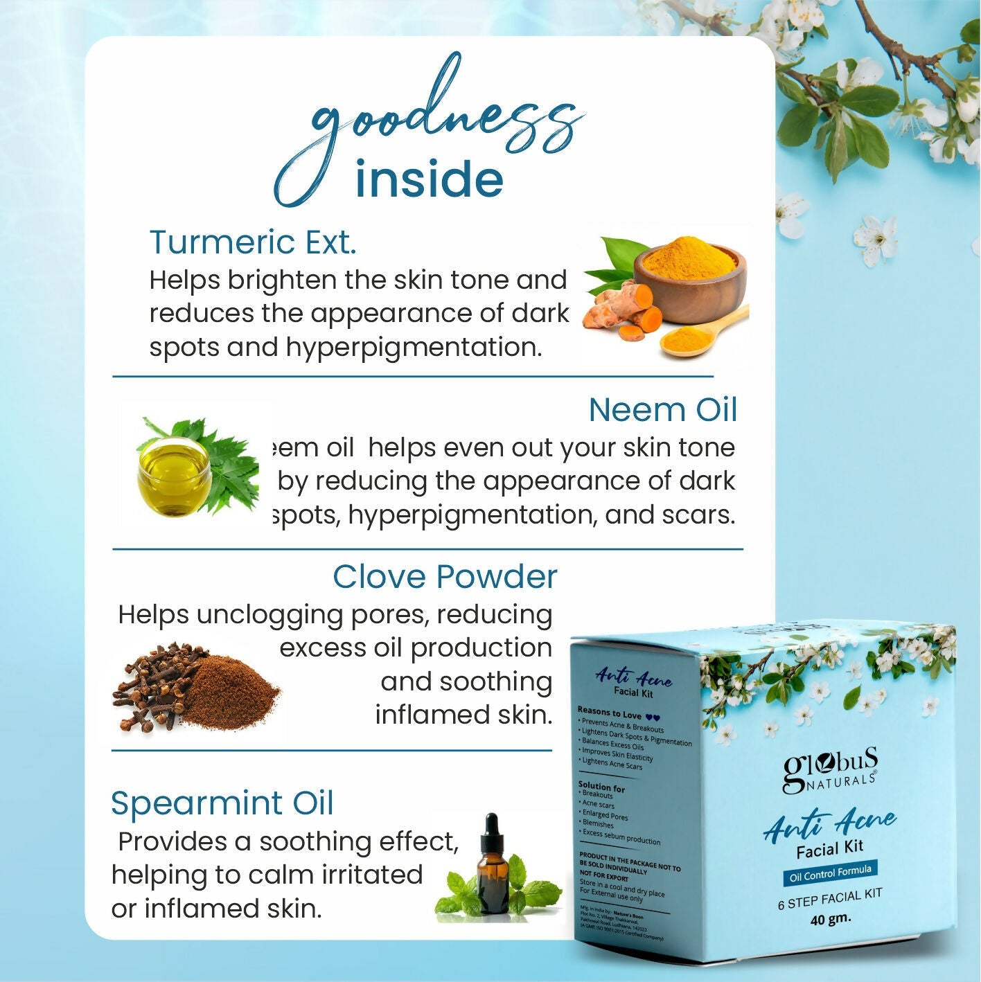 Globus Naturals Anti Acne 6 Step Facial Kit | Swadesiicart
