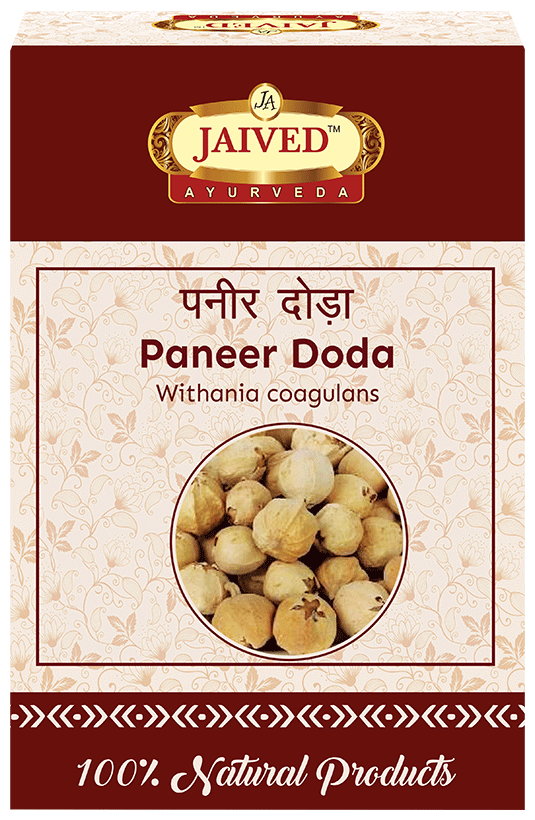 Jaived Ayurveda Paneer Doda | Swadesiicart