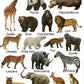 All In One Picture Book (For Ages 1-4)