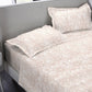 MYTRIDENT Nectarsoft Orange White Pure Cotton 400 TC King Bedsheet with 4 Pillow Covers - Swadesiicart