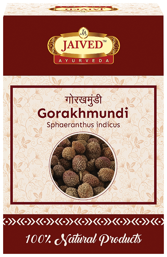 Jaived Ayurveda Gorakhmundi | Swadesiicart
