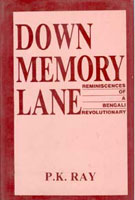 Down Memory Lane - Gyan Books - Swadesiicart