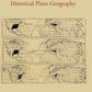 An Introduction To Historical Plant Geography - Gyan Books - Swadesiicart