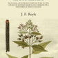 An Essay On The Antiquity Of Hindoo Medicine - Gyan Books - Swadesiicart