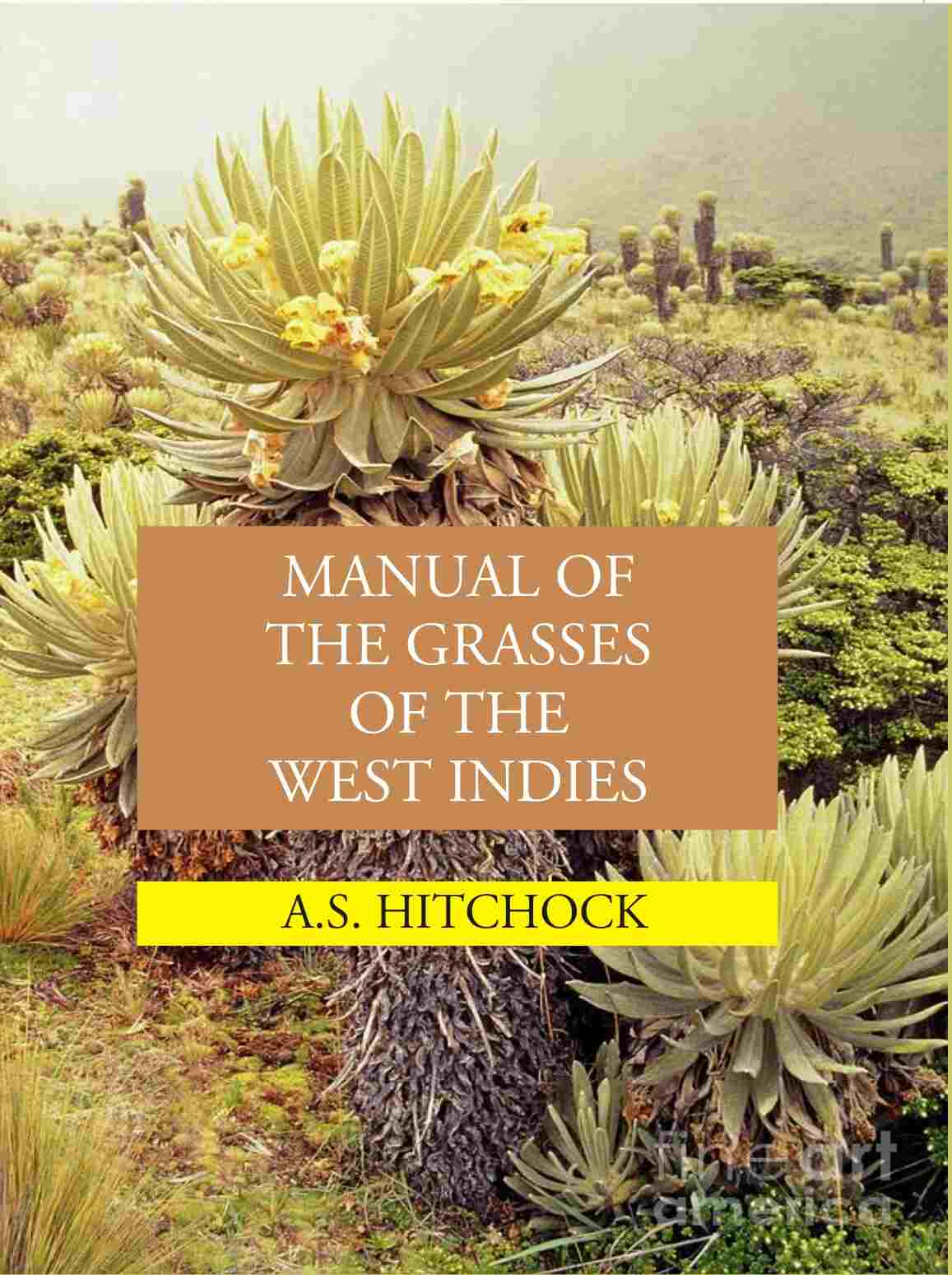 Manual Of The Grasses Of The West Indies - Gyan Books - Swadesiicart