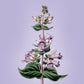Medical And Economical Botany - Gyan Books - Swadesiicart