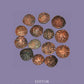 The Tamilian Antiquary Vol – I, NO – IX - Gyan Books - Swadesiicart