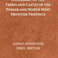 A Glossary Of The Tribes And Castes Of The Punjab And North-West Frontier Province Vol. 2nd - Gyan Books - Swadesiicart