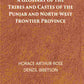 A Glossary Of The Tribes And Castes Of The Punjab And North-West Frontier Province Vol. 3rd - Gyan Books - Swadesiicart