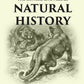 The Concise Knowledge Natural History - Gyan Books - Swadesiicart