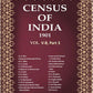 Census of India 1901: Baluchistan - Provincial Tables Book 11 Vol. V-B, Part 3 - Gyan Books - Swadesiicart